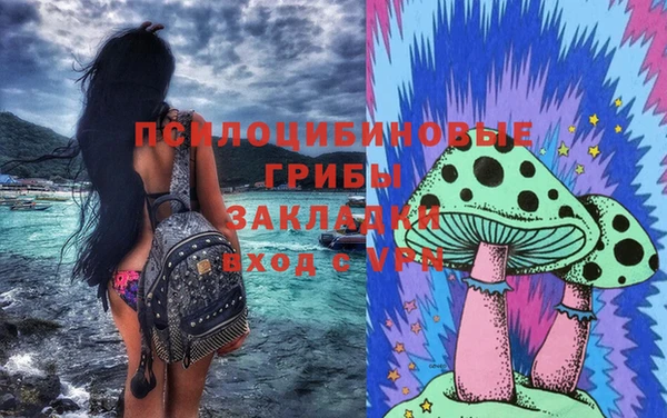 бошки Верея