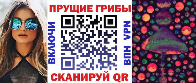 Галлюциногенные грибы мицелий  наркошоп  Нижнекамск 