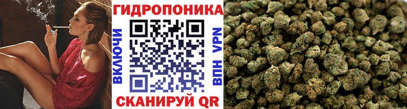 Шишки марихуана семена  darknet телеграм  Нижнекамск  купить наркотик 